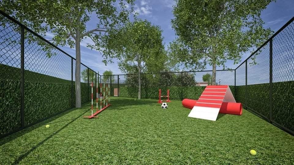 Terreno, 300 m² - Foto 16