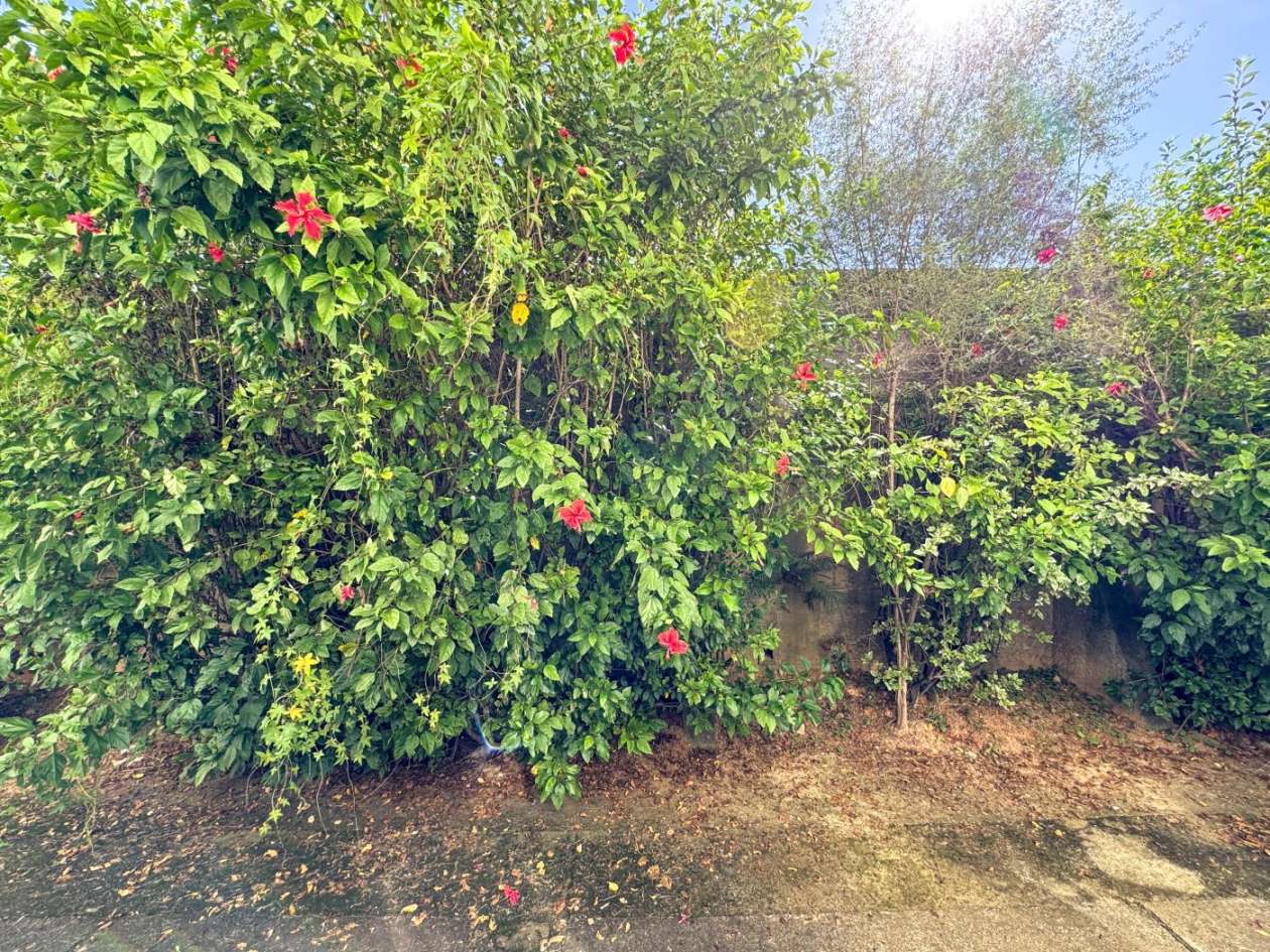 Apartamento, 3 quartos, 65 m² - Foto 21