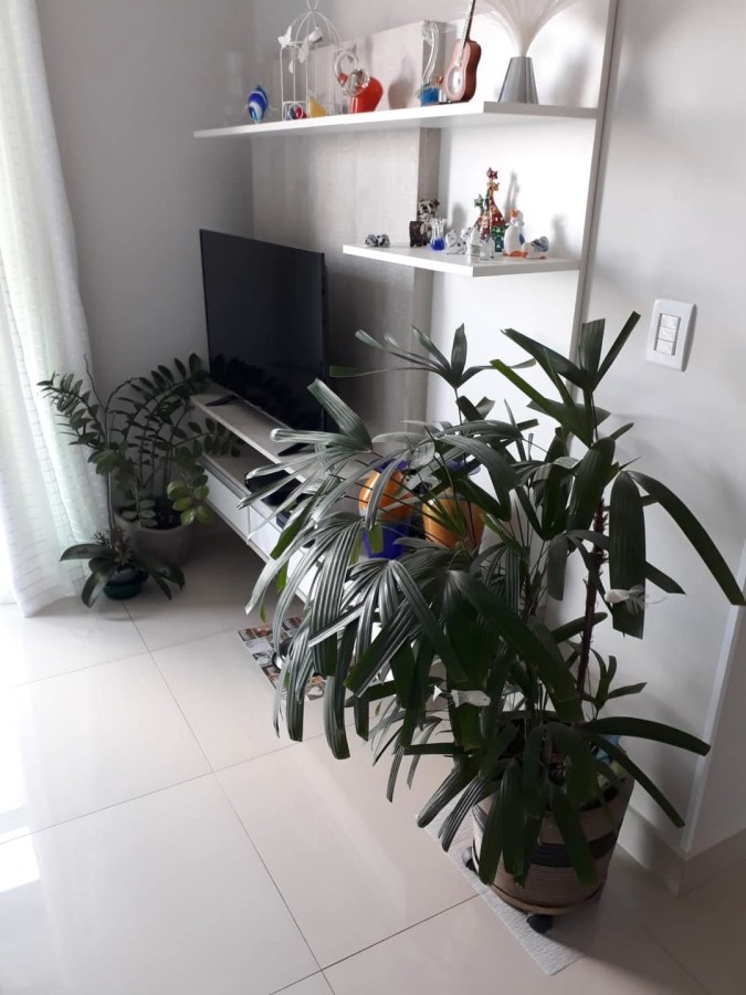Apartamento, 3 quartos, 83 m² - Foto 2
