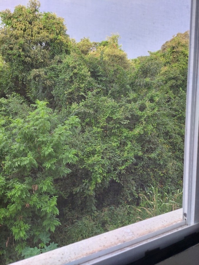 Apartamento, 2 quartos, 66 m² - Foto 24