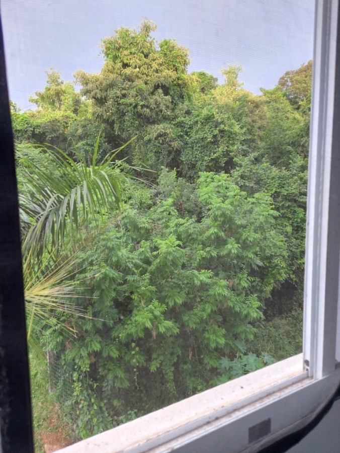 Apartamento, 2 quartos, 66 m² - Foto 26